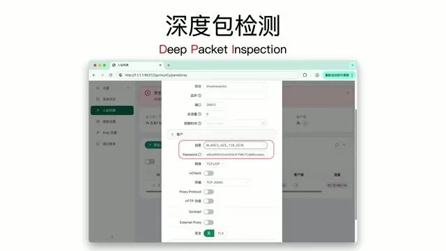 DPI检测识别HTTP明文流量中的节点配置信息