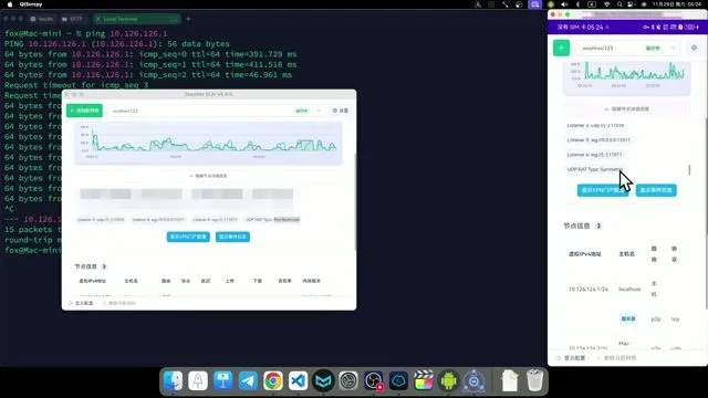 EasyTier 端口扫描与预测原理图